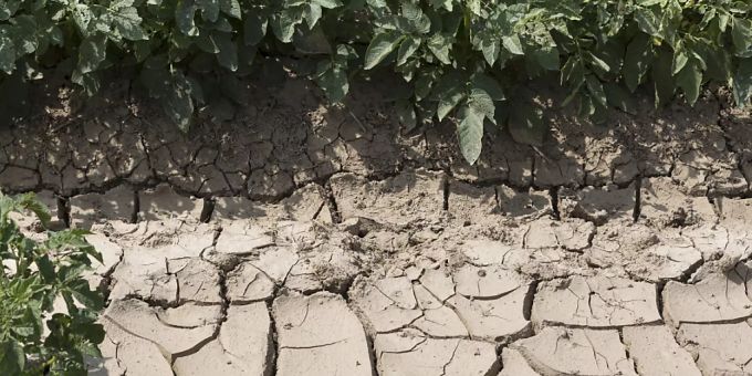Die EU müsse alle negativen und positiven Auswirkungen ihrer Klimapolitik berücksichtigen. (Symbolbild) Weltorganisation für Meteorologie