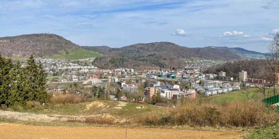 Ausblick auf die Ortschaft Liestal.