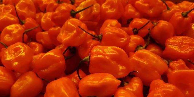 Promo - Diese Woche wird es noch schärfer mit dem Habanero #SpiceFace