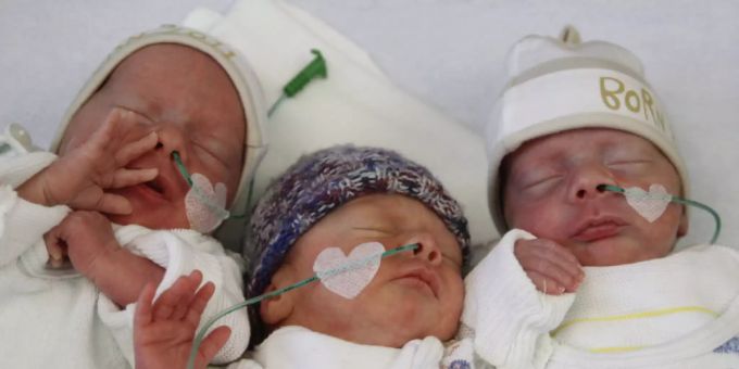 Nur noch bei sechs Prozent der Geburten nach In-Vitro-Befruchtungen kamen 2019 Mehrlinge zur Welt. (Archivbild) Nur noch bei sechs Prozent der Geburten nach In-Vitro-Befruchtungen kamen 2019 Mehrlinge zur Welt. (Archivbild)