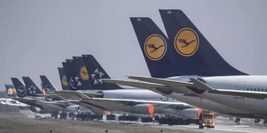 In langer Reihe parken Lufthansa-Maschinen am Frankfurter Flughafen. Foto: Boris Roessler/dpa