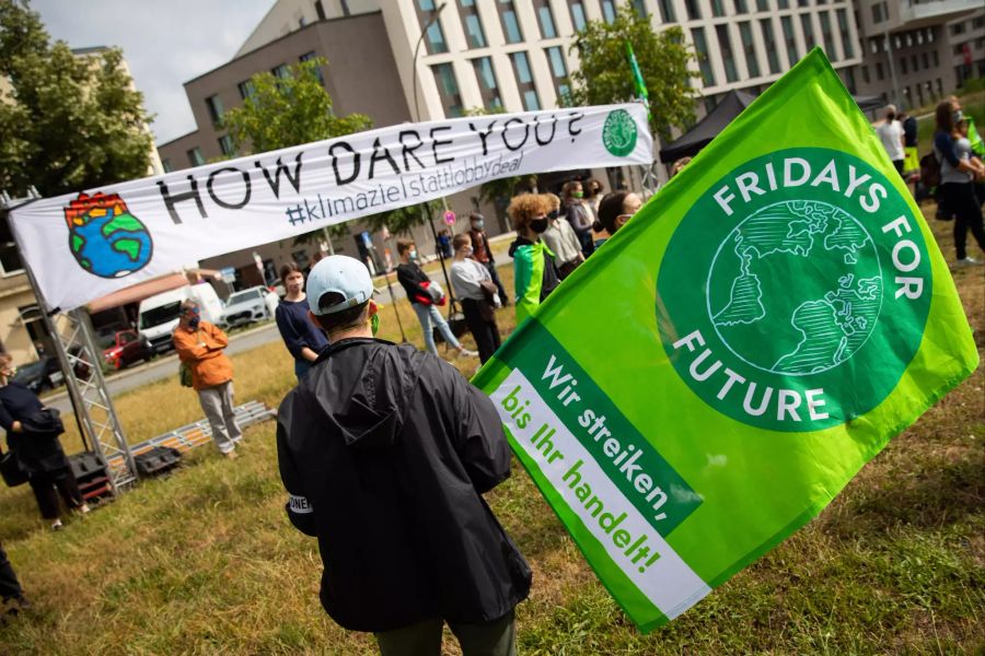 «Fridays for Future»