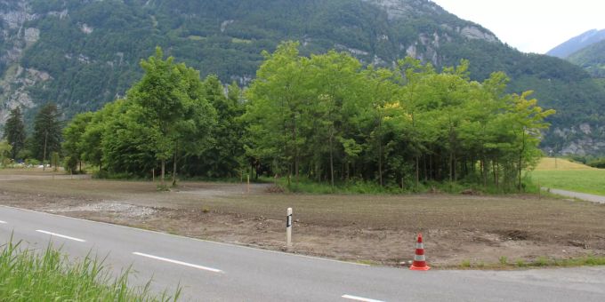 Umgestaltung der ehemaligen Baumschule beim Flugplatz Glarus Nord/Mollis.