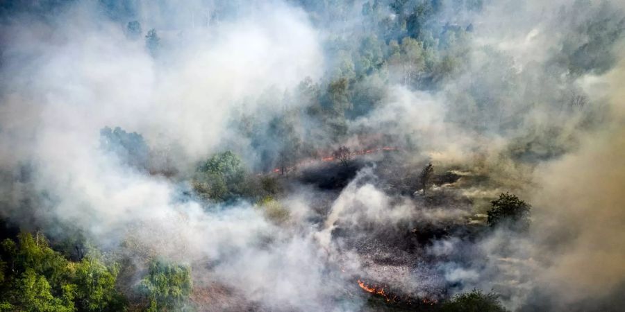 Grossbrand in niederländischem Nationalpark