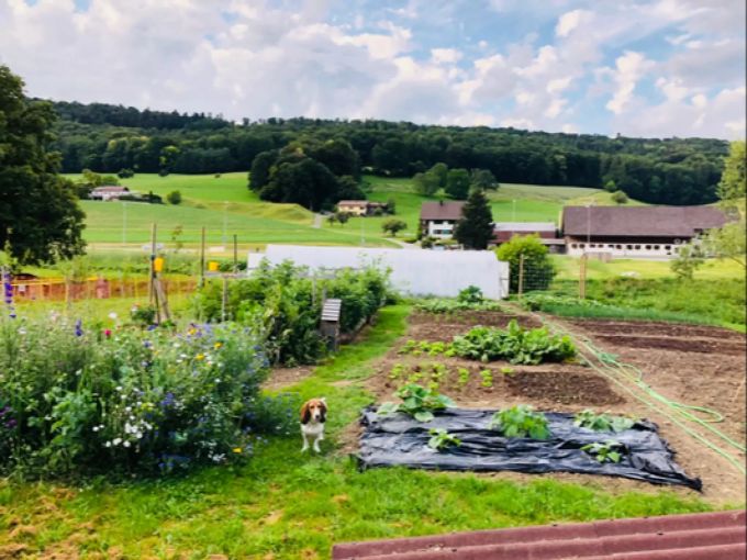 David Müller zeigt seinen Kunden auf Anfrage gerne den Hof. Mini-Farming Hof