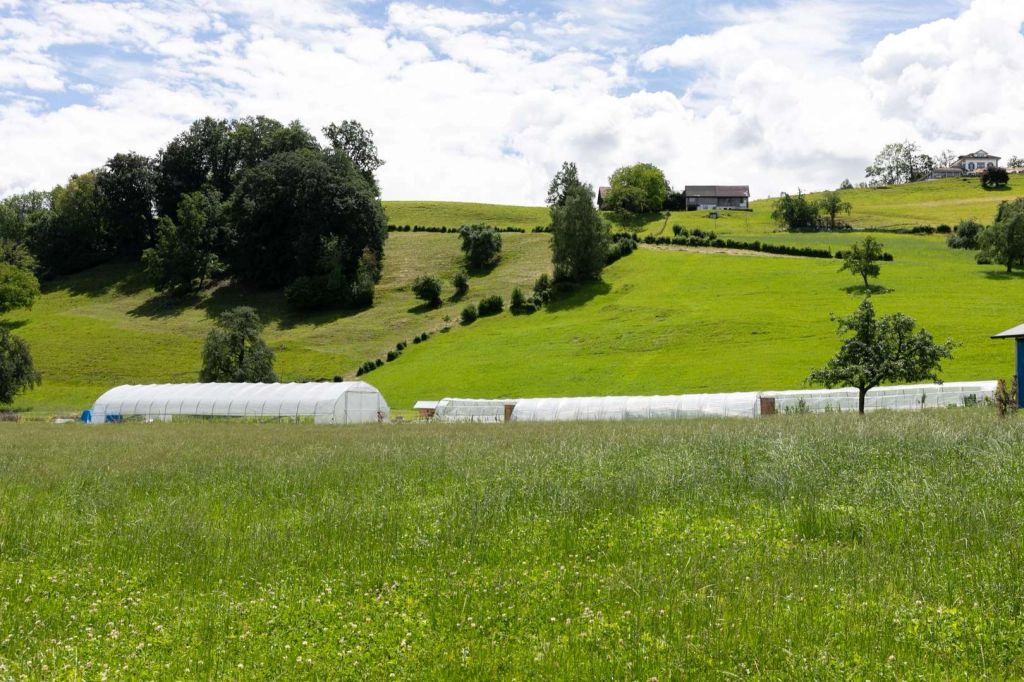 MiniFarm Solawi Halde