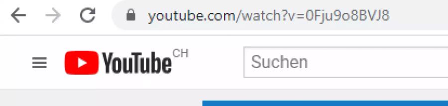 So sieht die URL zu einem Youtube-Video im Normalfall aus.