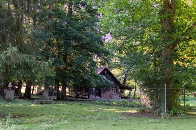 Im Park stehen einige Hütten bereit als Unterschlupf für die Tiere.