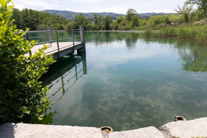 Hallwilersee, Seengen