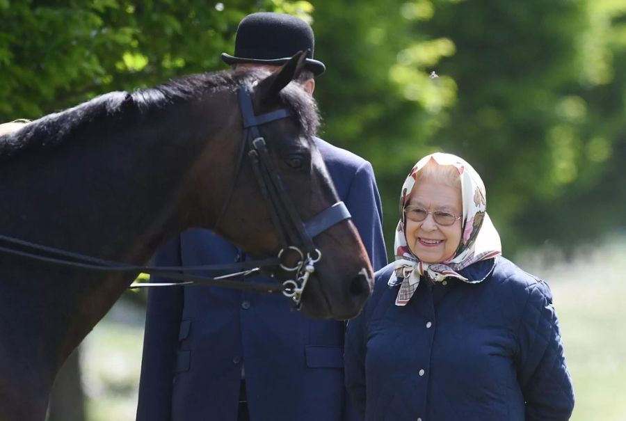 Queen Elizabeth II. ist ein grosser Pferde-Fan.