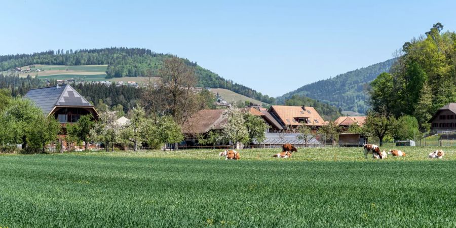 Blick auf das ursprüngliche Bauerndorf Oppligen.