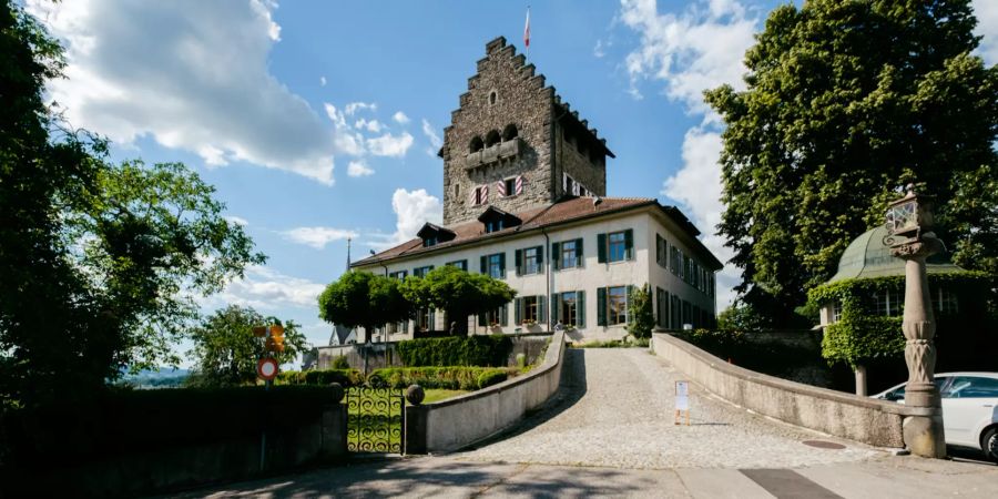 Das Schloss Uster