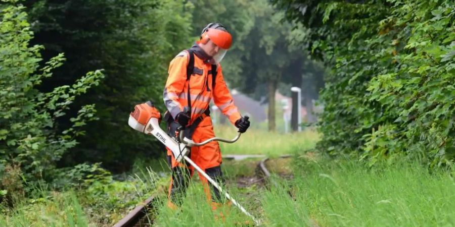 Geht es nach dem Verband Deutscher Verkehrsunternehmen und der Allianz pro Schiene, dann sollen viele stillgelegte Nebenstrecken möglichst bald wieder ans Netz gehen. Foto: picture alliance / dpa