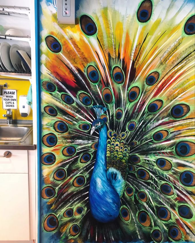 "Der Pfau“ Pfau