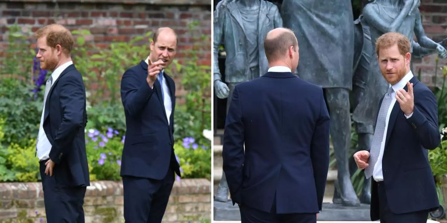 Prinz Harry Prinz William