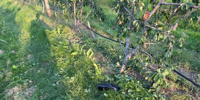 Die Unfallverursacherin wurde nicht verletzt.
