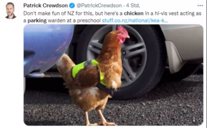 Huhn «Henry» hat den Parkplatz im Griff. huhn