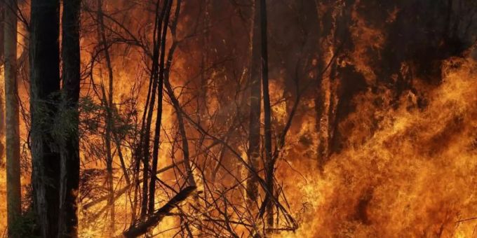 Waldbrände - wie hier in Australien - und andere Naturereignisse gefährden vor allem Menschen, die nicht sozial abgesichert sind. Foto: Rick Rycroft/AP/dpa/Archivbild Waldbrände - wie hier in Australien - und andere Naturereignisse gefährden vor allem Menschen, die nicht sozial abgesichert sind. Foto: Rick Rycroft/AP/dpa/Archivbild