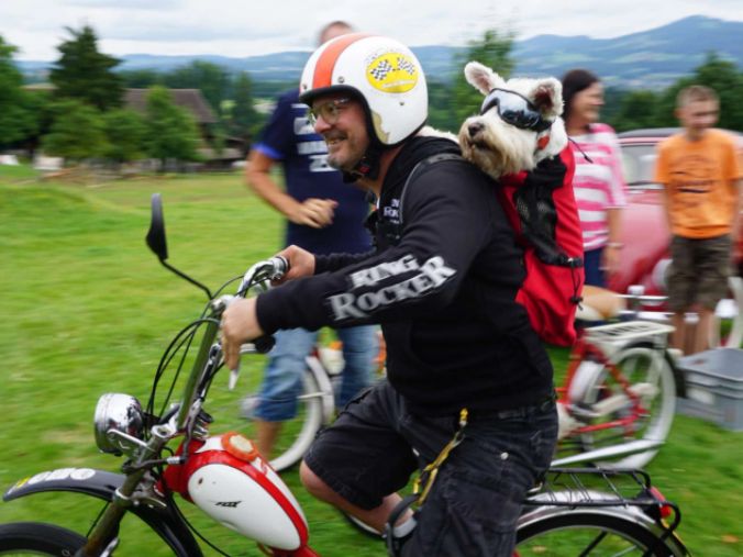 Mit besonderem Gepäck ans Töffli-Treffen in Rapperswil-Jona.