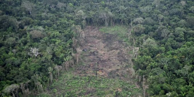 Illegale Rodungen im Nationalpark La Macarena klimaschutz