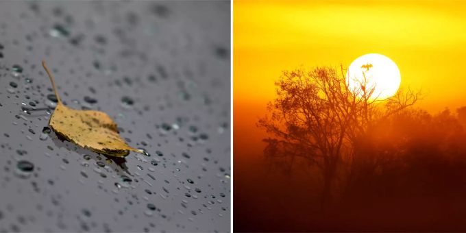 In der neuen Woche wird das Wetter wechselhaft: Mal regnets, mal scheint die Sonne. Wetter