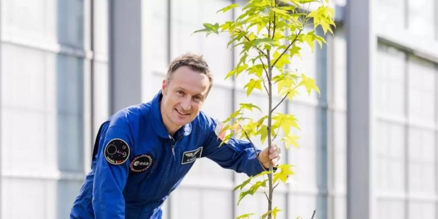 Matthias Maurer pflanzt in Köln einen Baum. Foto: Rolf Vennenbernd/dpa