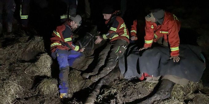 Ein Pferd ist am Freitagabend auf einem Ausritt oberhalb von Därstetten BE ausgerutscht und im Morast stecken geblieben. Pferd