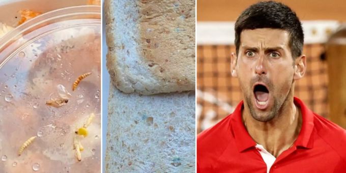 Horror-Aufenthalt? - Djokovics Migranten-Hotel servierte Schimmel-Essen