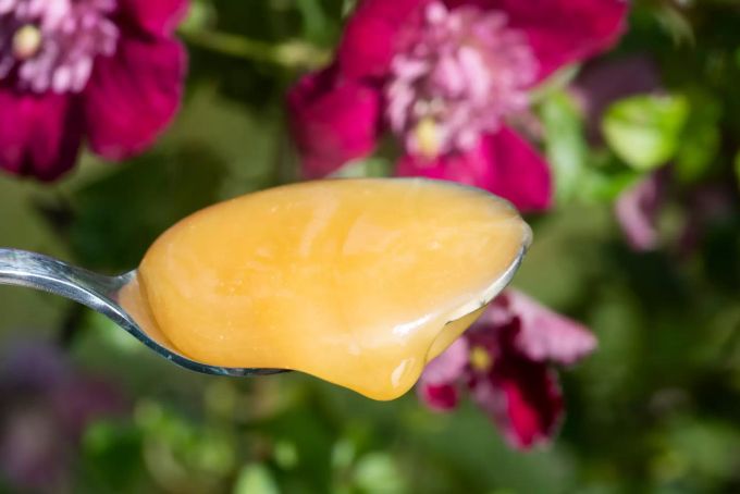 Kennt man so noch nicht: Ackerbohnenhonig ist eine Spezialität. Löffel mit orangefarbenem, naturtrübem Honig
