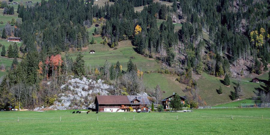 Blick auf ein Bauernhaus in Lenk.