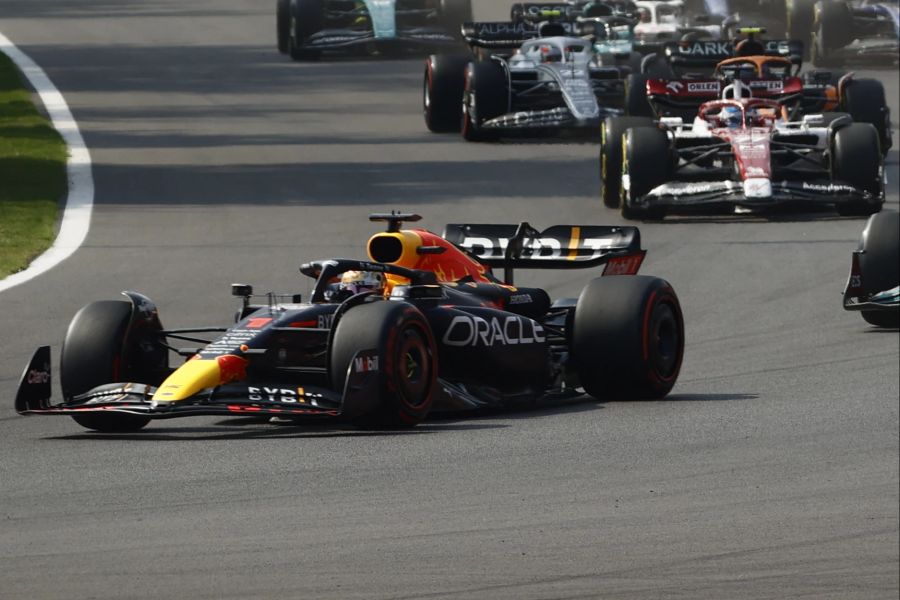 Formel 1 Max Verstappen