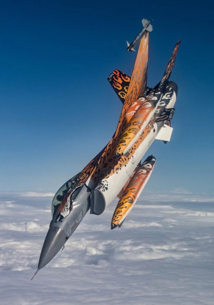 Eine F-16 der portugiesischen «Jaguares»-Staffel, umgespritzt im Jaguar-Stil, während dem Nato Tiger Meet 2021.