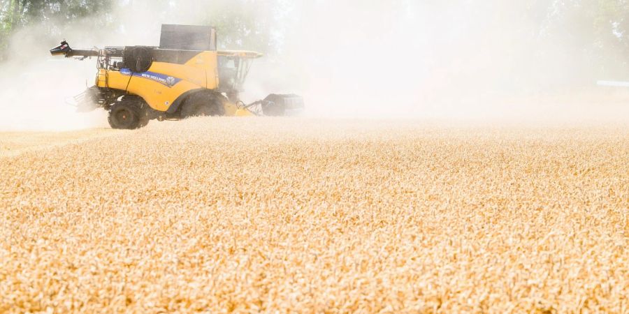 Ein Landwirt erntet mit Hilfe eines Mähdreschers bei sehr heissem Wetter ein extrem trockenes Weizenfeld in der Region Hannover.
