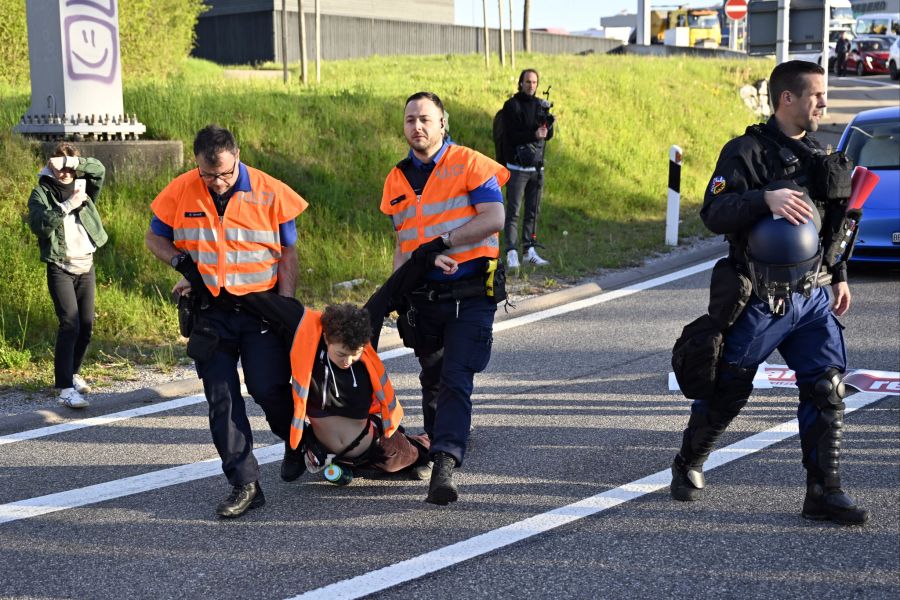 Einige der Demonstranten mussten abgeführt werden.