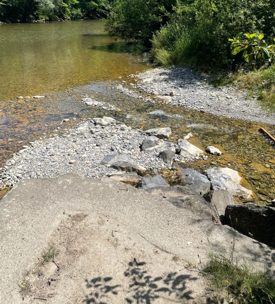 Wegen der Trockenheit sind Fische oft in kleinen Becken gefangen.