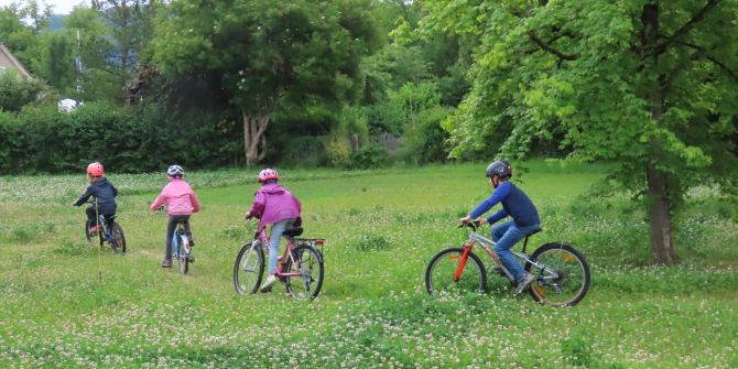 Dirt Track ist im Betrieb