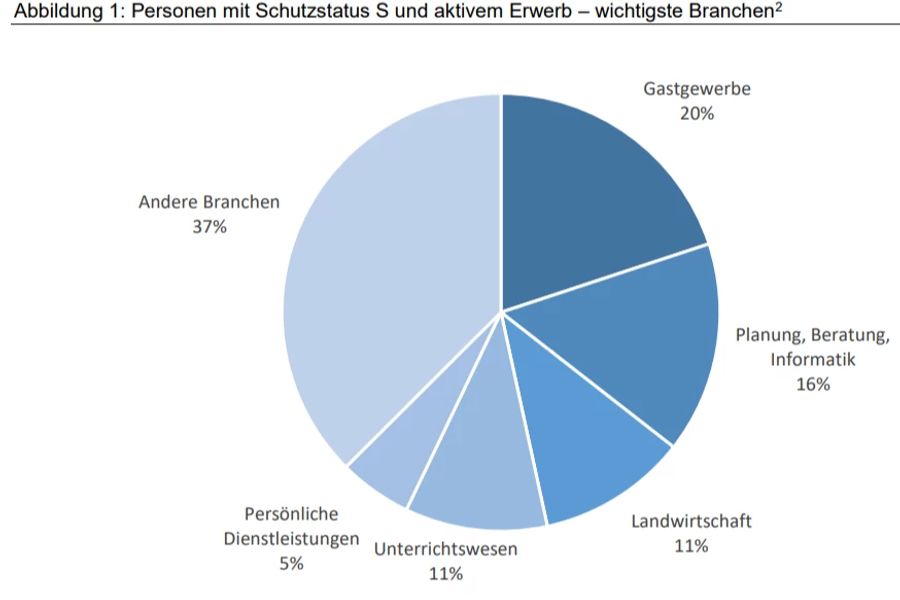 Die wichtigsten Branchen, in denen Personen mit Schutzstatus S eine Stelle gefunden haben (Stand: 7. Juni 2022).