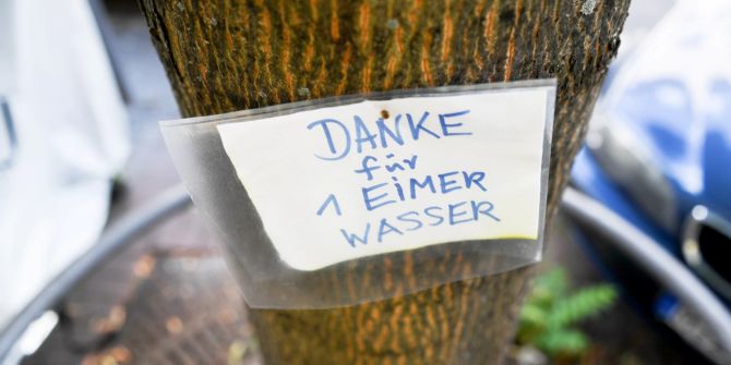 Baum Schild Wasser Giessen