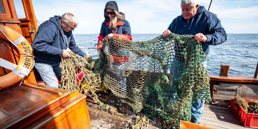 nordsee netze fische