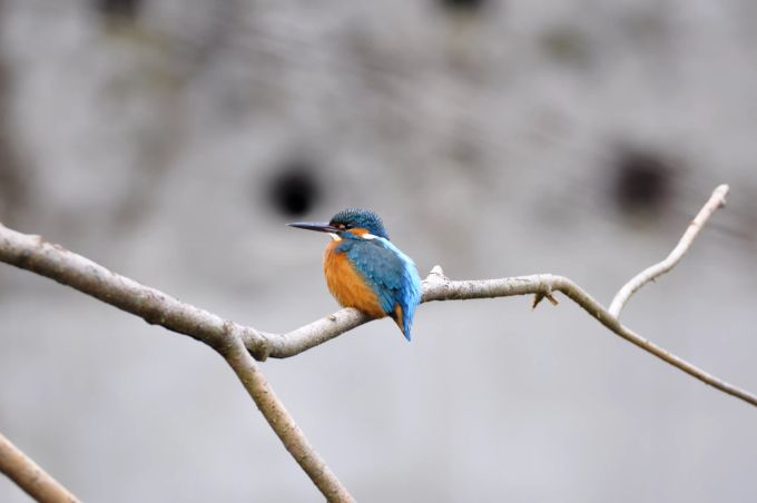 Gut für Mensch und Vogel: Die Hütten wurden so angelegt, dass die Tiere möglichst nicht gestört werden. Ausflugstipp