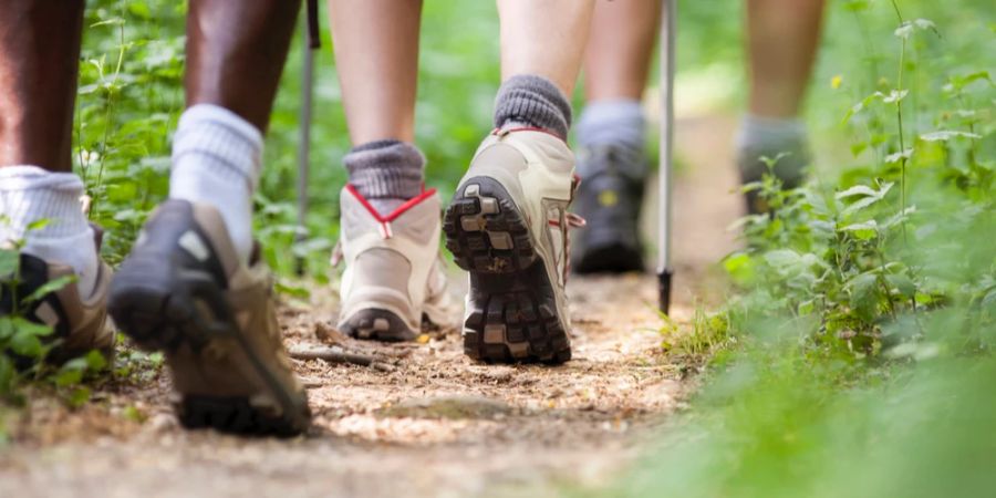 Wanderer Fokus Schuhe