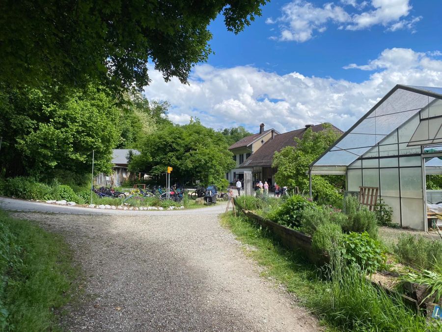 Nach einer Wanderung will ein Berner Paar in einer Gartenbeiz die Zweisamkeit geniessen.