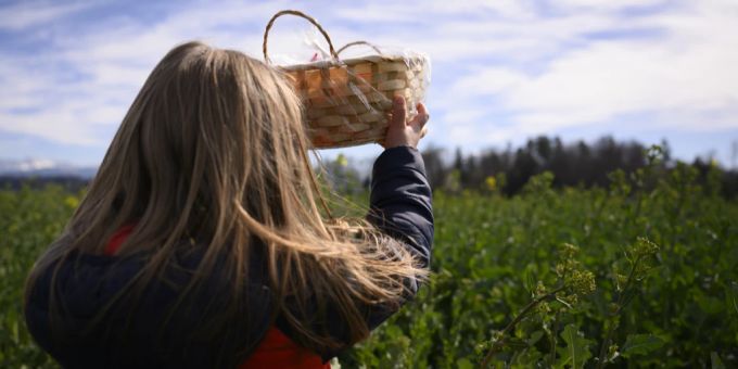 Wird das Wetter am Wochenende gut genug, um draussen nach Osternestern zu suchen? wetter