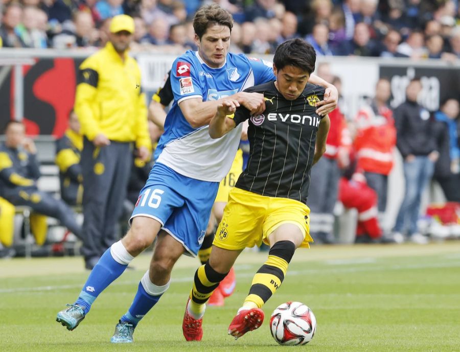 Pirmin Schwegler Bundesliga