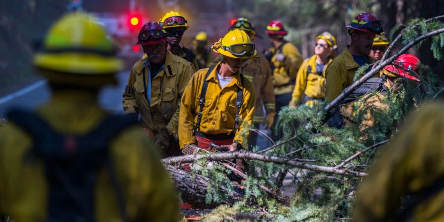 Schon jetzt handelt es sich um den grössten Waldbrand des laufenden Jahres in Kalifornien.