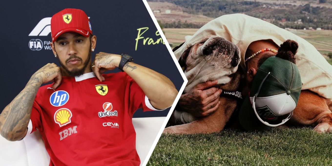 Lewis Hamilton trauert um geliebten Hund Roscoe | Nau.ch