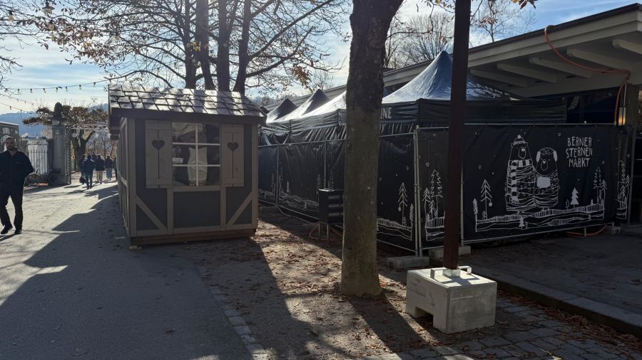 Vom 20. November bis zum 28. Dezember findet auf der Kleinen Schanze der mittlerweile traditionelle Sternenmarkt statt.