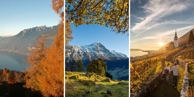 Indian Summer Bern