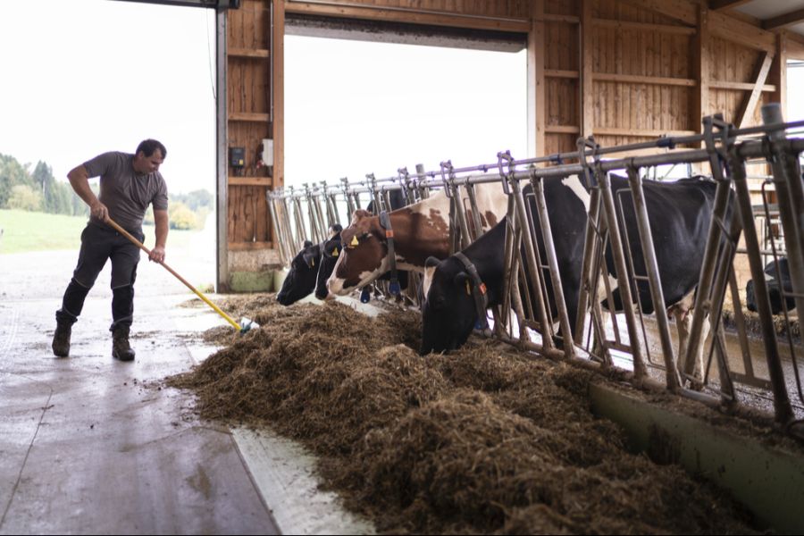 Klare Absprachen können bei Konflikten auf Bauernhöfen helfen. (Symbolbild)