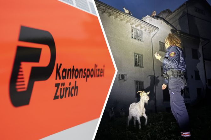 zürich polizei ziege